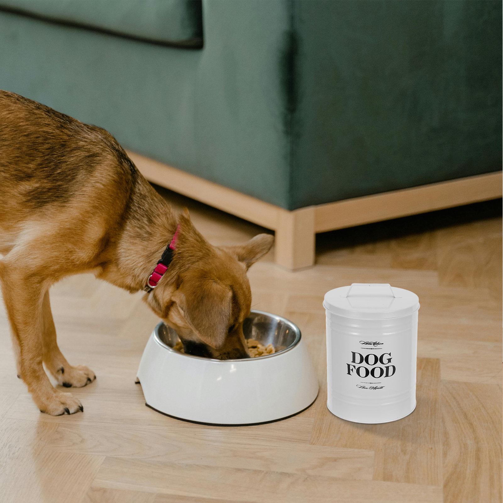 54Oz Sağlam Demir Köpek Maması - Food Storage For Dog incelemesi ve fiyatı